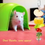 2PCS Rat Enrichment Foraging Toys, Stainless Steel Vegetable Skewer Foraging Hanging Feed Tool for Hamster Rodents Bird Parrots, Fancy Mice Cage Accessories Puzzle Toy Slow Feeder - Image 7