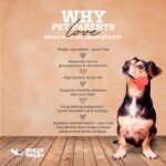 6 inch Beef Jumbo Collagen Sticks - Dog Dental Chew - 9 Pack - Rawhide Free, Long Lasting Alternative to Bully Sticks, All Natural, Protein Rich - Image 5