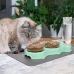 Triple Cats Bowls, Cat Food Water Bowl with Mat and Scoop, 15° Tilted Raised Cat Bowl Dishes with Automatic Water Bottle, Pet Feeding Bowls for Cats, Small Dogs, Wet, Dry Food - Image 8
