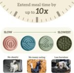 OHMO-Slow Feeder Dog Bowl for Small to Medium Breed, Cat Slow Feeder with Non Slip Suction Cup, Silicone Pet Feeding Dishes, Stop Gulping and Prevent Choking（Grey） - Image 4