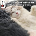 Calming Dog and Cat Bed Donut - 19.7'' Dog Bed Small, Fluffy Cat Anti Anxiety Beds for Indoor Cats, Washable Pet Bed with Non-Skid Bottom for Dogs and Cats, Dark Grey M(19.7in/50cm) - Image 4