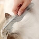 5 Pieces Dog Grooming Scissors Kit Stainless Steel Pet Cat Grooming Kit for Dogs Cats Pets Professional 5 in 1 Hair Scissors Set with Curved Scissor, Thinning Shear, Comb (Blue) - Image 5