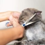 5 Pieces Dog Grooming Scissors Kit Stainless Steel Pet Cat Grooming Kit for Dogs Cats Pets Professional 5 in 1 Hair Scissors Set with Curved Scissor, Thinning Shear, Comb (Blue) - Image 7