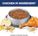 Hill's Science Diet Adult 7+ Perfect Digestion Chicken, Barley & Whole Oats Recipe Dry Cat Food 1.58 kg Bag - Image 6