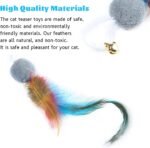 Feather Cat Toy,10 Packs Interactive Cat Feather Teaser Toys,Natural Cat Feather Teaser Toys with Bell for Indoor Cats Gifts, Kitty Toys for Exercise(Feather Replacement Heads) - Image 3
