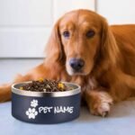 Personalized Dog Food and Water Bowl, Stainless Steel Dog Bowls, Customized Dog Food Bowls with Dog's Name, Easy to Clean, Drop and Slip Resistant - Image 5