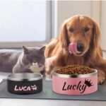 Personalized Dog Food and Water Bowl, Stainless Steel Dog Bowls, Customized Dog Food Bowls with Dog's Name, Easy to Clean, Drop and Slip Resistant - Image 7