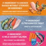 Beyond Grain Free Natural Wet Cat Food, Pate Variety Pack 3 Flavours - 85 g Can (12 Pack) - Image 5