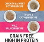 Beyond Grain Free Natural Wet Cat Food, Pate Variety Pack 3 Flavours - 85 g Can (12 Pack) - Image 9