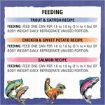 Beyond Grain Free Natural Wet Cat Food, Pate Variety Pack 3 Flavours - 85 g Can (12 Pack) - Image 11