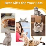 7 Pack Cat Wand Toy, Interactive Cat Rainbow Wand Toys, Interactive Cat Teaser Wand String, Colorful Ribbon Charmer for Kitten Cat Exerciser Playing - Image 7