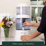 Alkaline & Fluoride Replacement Filter for The Gravity Water System by Santevia | at Home Water Filter That Makes Water Alkaline and Adds Minerals | Filters Chlorine and Fluoride - Image 6
