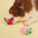 Small Dog Toys, Squeaky Dog Toy for Small Dogs- Pink Cute Puppy Toys, 4 Packs Pet Chew Toys for Fun, Interactive Dog Plush Toys for Puppies, Doggie Birthday Gifts - Image 8