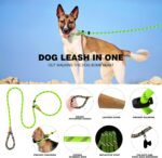 lynxking Slip Lead Dog Leash Reflective, 6 FT x 1/2" Heavy Duty Comfortable Strong Rope Leash for Large, Medium Dogs, No Pull Pet Training Leash (Light Green, Large 1/2in x 6ft-Slip Lead) - Image 3