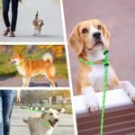 lynxking Slip Lead Dog Leash Reflective, 6 FT x 1/2" Heavy Duty Comfortable Strong Rope Leash for Large, Medium Dogs, No Pull Pet Training Leash (Light Green, Large 1/2in x 6ft-Slip Lead) - Image 8