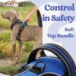 rabbitgoo Dog Harness Medium Breed, No Pull Pet Harness with 3 Buckles, Adjustable Soft Padded Dog Vest with Instant Control Handle, Easy Walking Reflective Pet Vest, Blue, M - Image 6