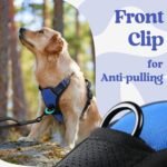 rabbitgoo Dog Harness Medium Breed, No Pull Pet Harness with 3 Buckles, Adjustable Soft Padded Dog Vest with Instant Control Handle, Easy Walking Reflective Pet Vest, Blue, M - Image 8