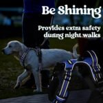 rabbitgoo Dog Harness Medium Breed, No Pull Pet Harness with 3 Buckles, Adjustable Soft Padded Dog Vest with Instant Control Handle, Easy Walking Reflective Pet Vest, Blue, M - Image 10