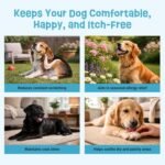 Skin & Coat Organic Dog Treats - Peanut Butter - Natural Supplements for Allergy, Dry & Itching Skin - With Kelp, Flaxseed & Sophora Japonica | Vet Approved, Made in Canada, Non-GMO - 170g (Pack of 1) - Image 8