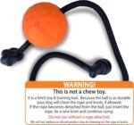 K9 Ops Dog Ball on a Rope Moki Tug Toy - Solid Rubber Fetch Training Reward - Large Dogs Durable Indestructible Chewers Pitbull Dobermann Rottweiler Shepherd (Tiger Orange - Black Rope) - Image 3