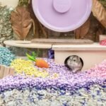 Niteangel Hamster Chew & Decor Toys - for Syrian Dwarf Hamsters Gerbils Mice Lemming Degu or Other Small-Sized Pets - Image 7