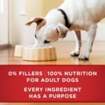 Purina ONE +Plus Wet Dog Food, Heart & Brain Health Chicken & Brown Rice Entrée - 368 g Can (12 Pack) - Image 8