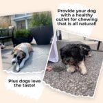 6-inch Bully Sticks for Dogs, Odour-Free Bully Sticks for Medium and Large Dogs All Natural & Single Ingredient, Beef Dog Treat Long Lasting Chews for Oral Care (Pack of 10) - Image 5