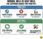 Pets Gone Wild | Goat Milk Powder with Elk Antler Flavor | Non-GMO Food Topper for Cats & Dogs | Made in Canada | 250 g - Image 5