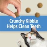 Friskies Party Mix Cat Treats, Naturals Gourmet Crunch with Real Chicken - 510 g Cannister (3 Pack) - Image 8