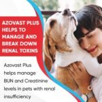 Azovast Plus Kidney Health Supplement for Dogs & Cats, 120ct - NO Refrigeration Required - Help Support Kidney Function & Manage Renal Toxins - Renal Care Supplement Capsules - Image 9