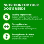 IAMS Proactive Health Adult Large Breed Dry Dog Food – Chicken & Whole Grain Recipe – 13.61KG (30LB) Bag - Image 7