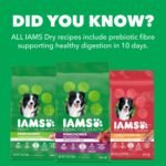 IAMS Proactive Health Adult Large Breed Dry Dog Food – Chicken & Whole Grain Recipe – 13.61KG (30LB) Bag - Image 10