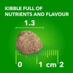 IAMS Proactive Health Adult Large Breed Dry Dog Food – Chicken & Whole Grain Recipe – 13.61KG (30LB) Bag - Image 11