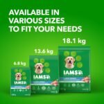 IAMS Proactive Health Adult Large Breed Dry Dog Food – Chicken & Whole Grain Recipe – 13.61KG (30LB) Bag - Image 12