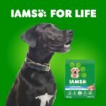 IAMS Proactive Health Adult Large Breed Dry Dog Food – Chicken & Whole Grain Recipe – 13.61KG (30LB) Bag - Image 14