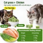 Cat Grass Treats for Cat, 30g Dried Snacks for Cats, Edible Cats Chew Toys, Kitten Treats for Cleaning Teeth Remove Hair Ball - Image 3