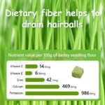 Cat Grass Treats for Cat, 30g Dried Snacks for Cats, Edible Cats Chew Toys, Kitten Treats for Cleaning Teeth Remove Hair Ball - Image 7