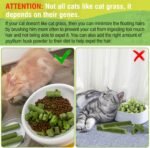 Cat Grass Treats for Cat, 30g Dried Snacks for Cats, Edible Cats Chew Toys, Kitten Treats for Cleaning Teeth Remove Hair Ball - Image 8