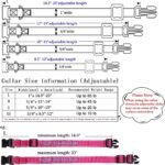 Personalized Dog Collar, Custom Embroidered Pet Name and Phone Number 4 Adjustable Sizes X-Small Small Medium Large Quick Release Buckle and D-Ring - Image 6