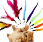 11 PCS Cat Feather Toy Retractable Cat Toys Wand with 2 Wands & 9 Assorted Teaser Refills Interactive Feather Teaser Wand Toy with Bell for Kitten Cat Catcher Having Fun Exercise Playing - Image 5