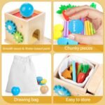 Kizfarm Educational Montessori Toys for 1 2 Year Old, Include Object Permanence Box, Magnetic Worm Game, Carrot Harvest Toy, Coin Drop Toy, Developmental Montessori Toys for Babies - Image 7