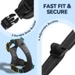 VIVAGLORY Dog Harness Easewalk No Pull Dog Harness with Handle Front Clip & Back Clip for Training Walking Lifting, No Pull Adjustable Easy On Padded Comfortable for Pet, XS, Black - Patterned - Image 4