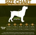 VIVAGLORY Dog Harness Easewalk No Pull Dog Harness with Handle Front Clip & Back Clip for Training Walking Lifting, No Pull Adjustable Easy On Padded Comfortable for Pet, XS, Black - Patterned - Image 8