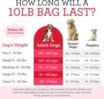 Dr. Harvey's Canine Health Miracle Dog Food, Human Grade Dehydrated Base Mix for Dogs with Organic Whole Grains and Vegetables (10 Pounds) - Image 6