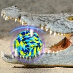 SHARLOVY Dog Chew Toys for Aggressive Chewers, Dog Balls for Large Dogs, Heavy Duty Dog Toys with Tough Twisted, Dental Cotton Dog Rope Toy for Medium Dogs, 6 Pack Indestructible Chew Toys - Image 8