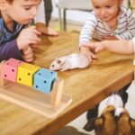 1 Pcs Natural Birch Wood Hamster Chew Cube & Gnawing Platform for Dental Care, Small Animal Enrichment Toy for Chinchilla, Rabbit, Gerbil, Mouse - Stackable Wooden Chewing Toy - Image 4