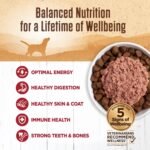 Wellness 95% Beef Natural Wet Grain Free Canned Dog Food, 13.2-Ounce Can (Pack of 12) - Image 4