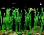 MyLifeUNIT Artificial Seaweed Water Plants for Aquarium, Plastic Fish Tank Plant Decorations 10 PCS (12 Inches Tall, Green) - Image 9