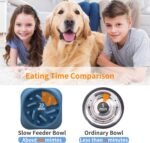 NOYAL Slow Feeder Dog Bowls Puzzle Anti-Gulping Interactive Bloat Durable Preventing Choking Healthy Dogs Bowl - Image 4