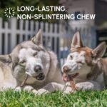 Downtown Pet Supply Best Free Range 6 In American Bully Sticks for Dogs Made in USA - Odorless Dog Dental Chew Treats, High in Protein, Great Alternative to Rawhides (6 In, 5 Pack) - Image 5